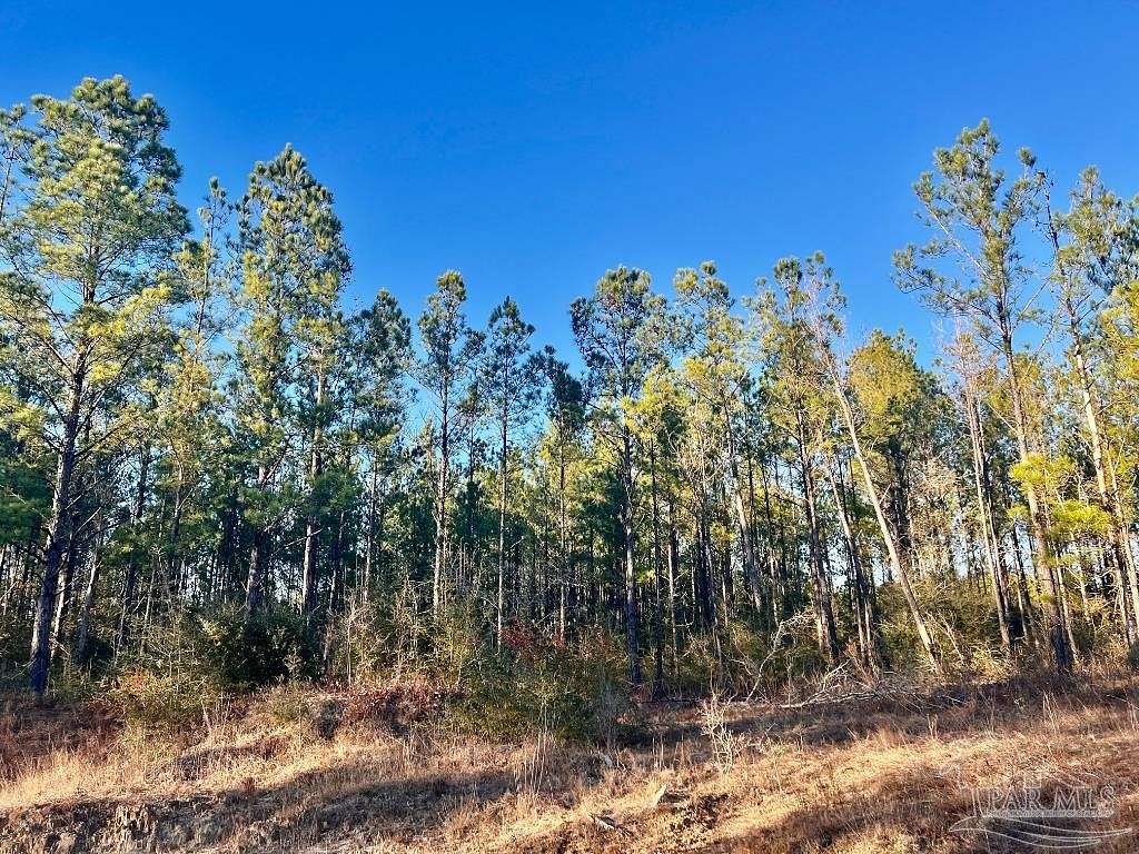 6.4 Acres of Residential Land for Sale in Pace, Florida
