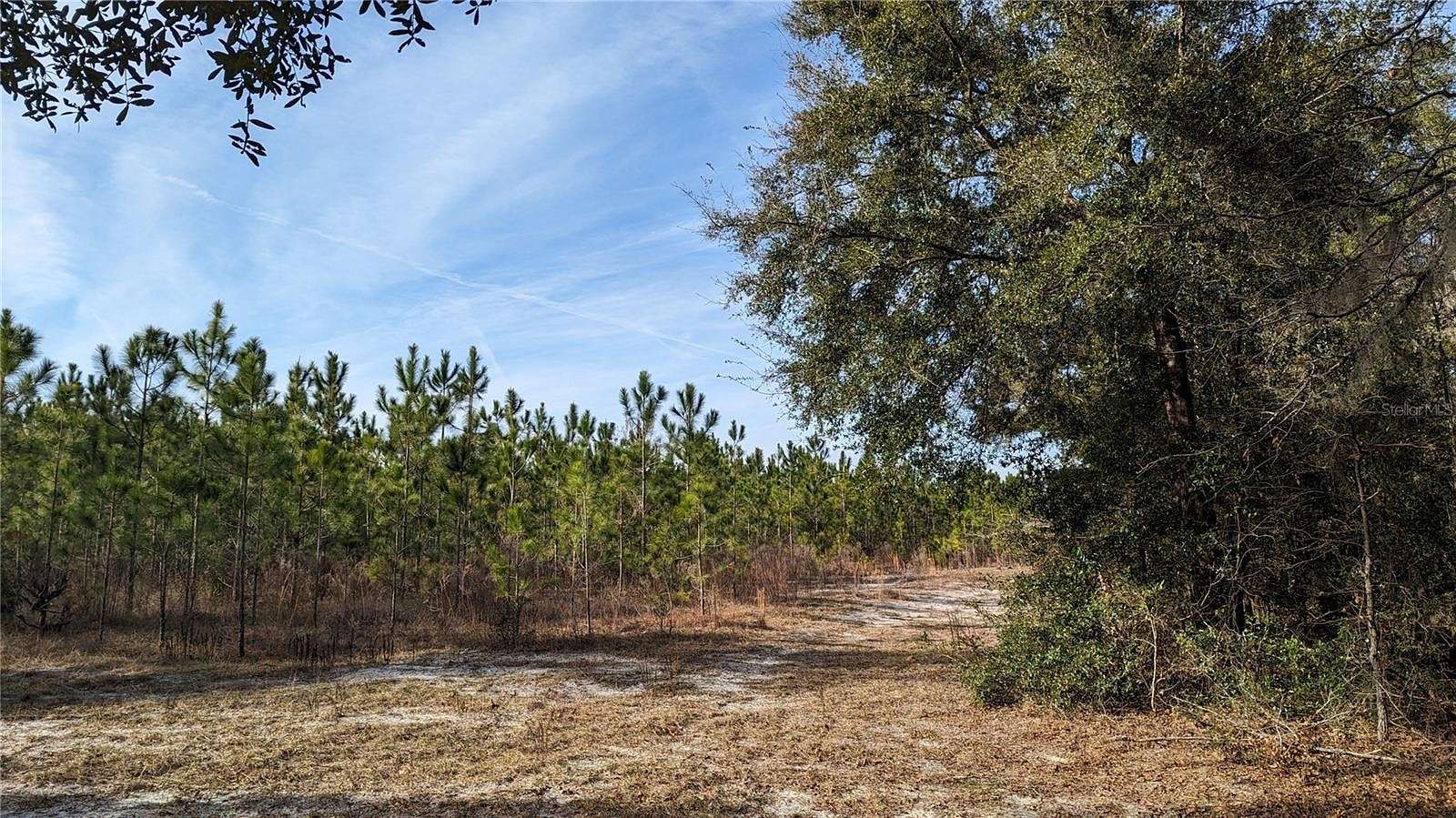 40 Acres of Land for Sale in High Springs, Florida