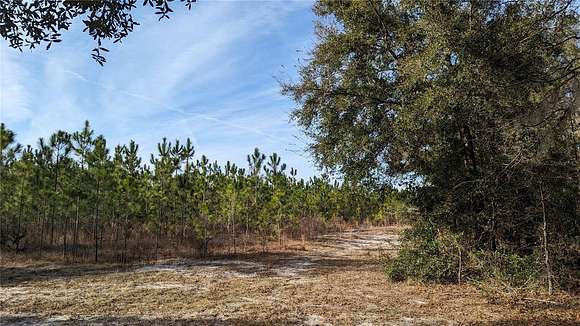 40 Acres of Land for Sale in High Springs, Florida