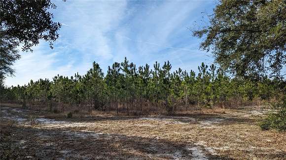 64.7 Acres of Land for Sale in High Springs, Florida