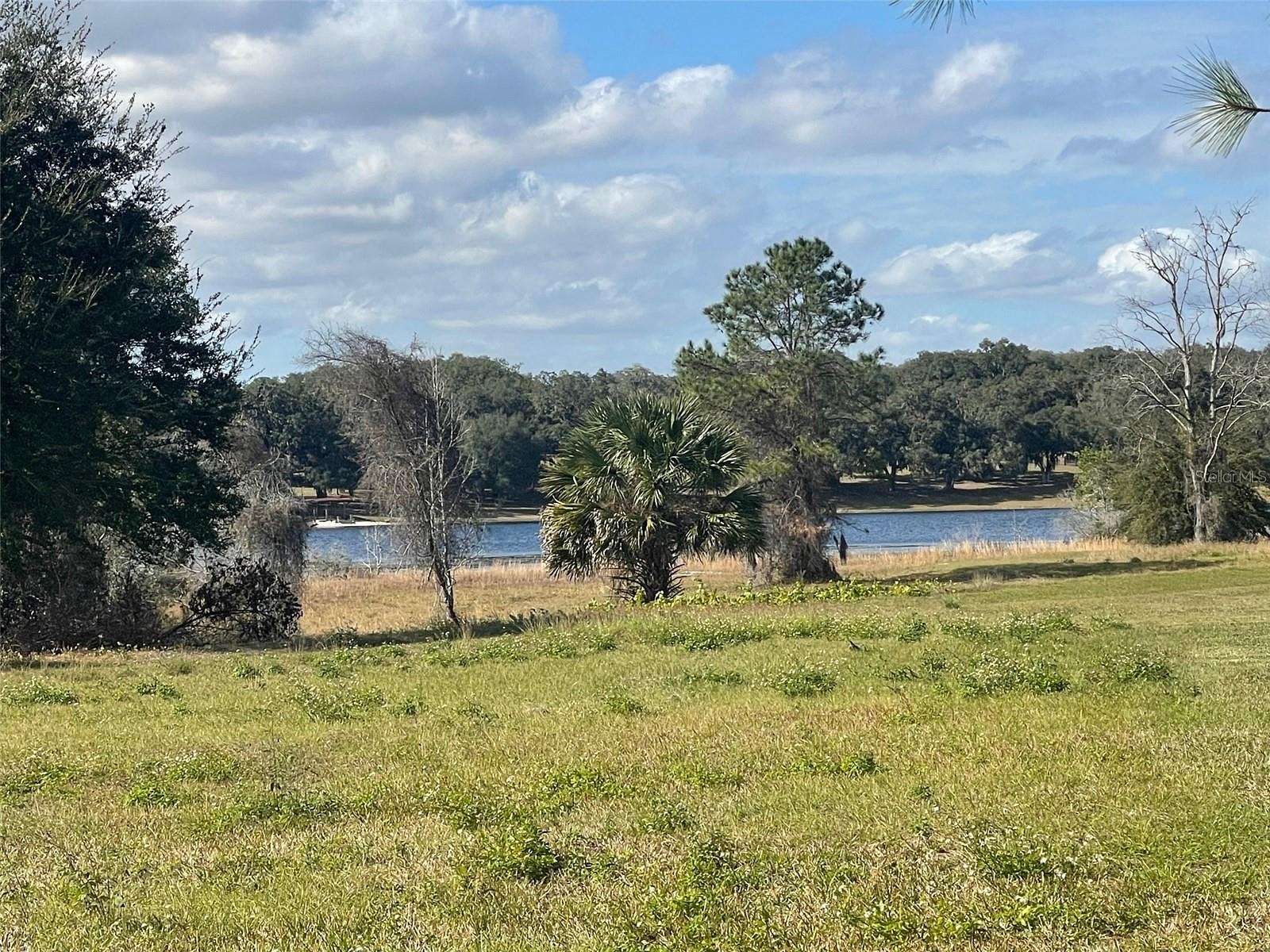59 Acres of Land for Sale in Lady Lake, Florida