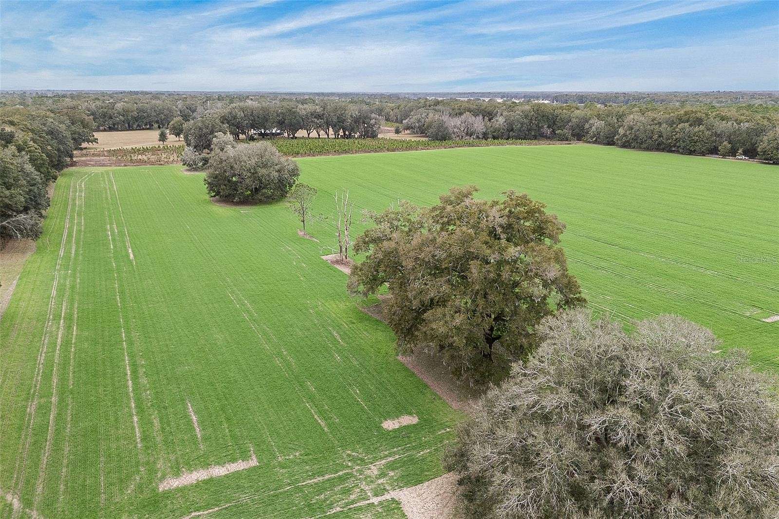 22.9 Acres of Agricultural Land for Sale in High Springs, Florida