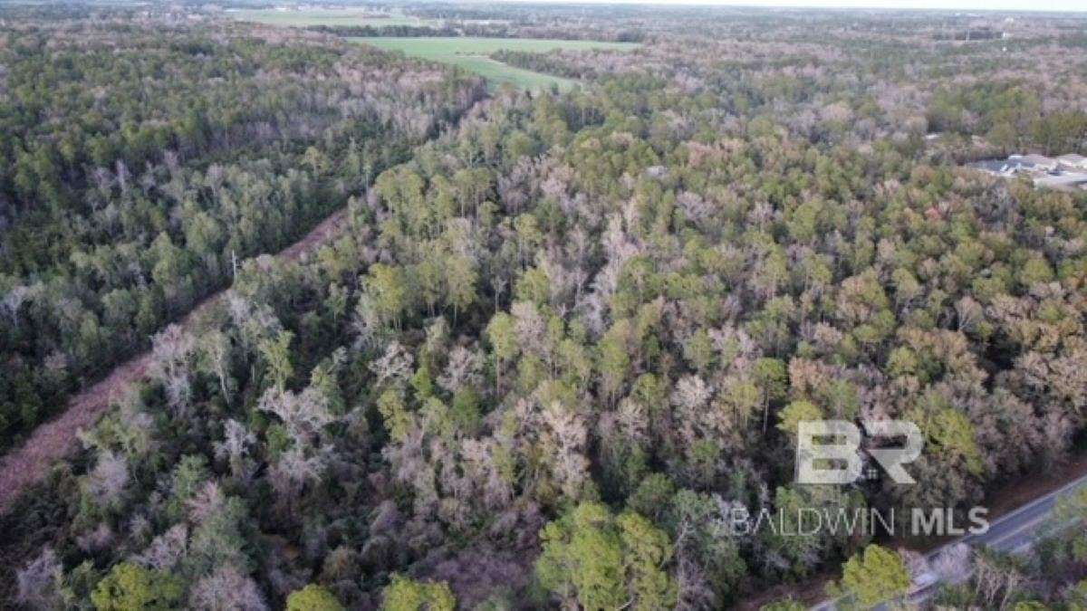 52 Acres of Land for Sale in Silverhill, Alabama