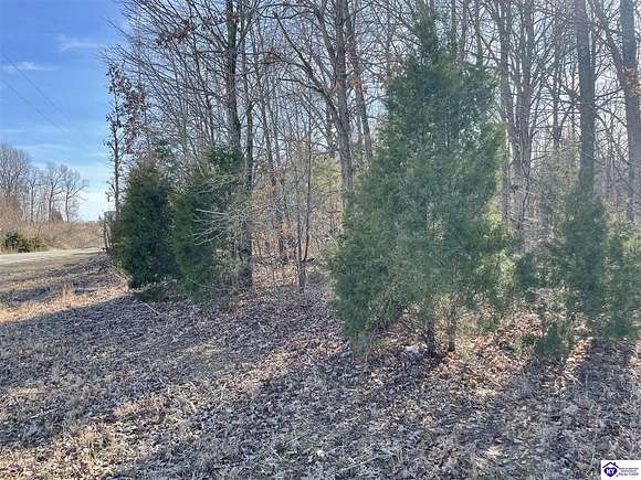 5 Acres of Land for Sale in Falls of Rough, Kentucky
