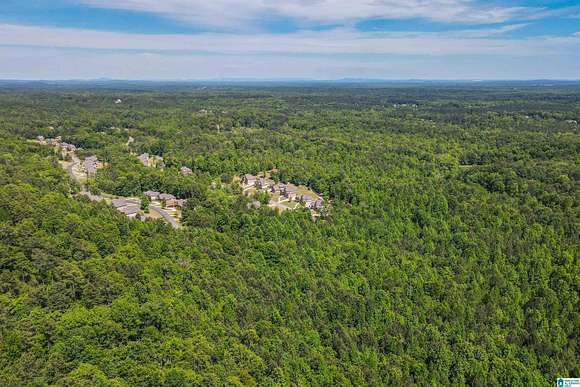 56 Acres of Recreational Land for Sale in Pelham, Alabama