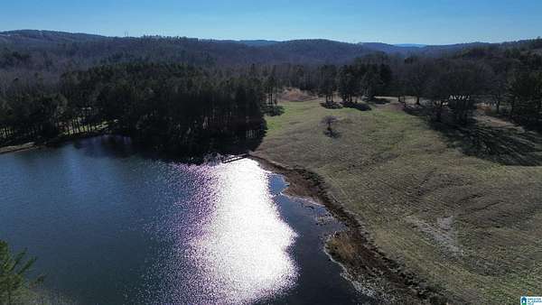 16 Acres of Land for Sale in Ashland, Alabama