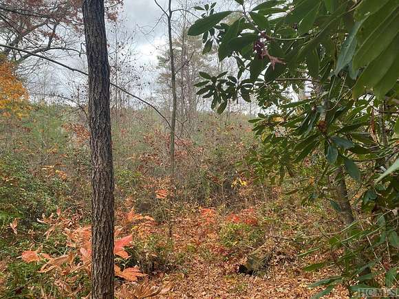 0.91 Acres of Land for Sale in Cashiers, North Carolina