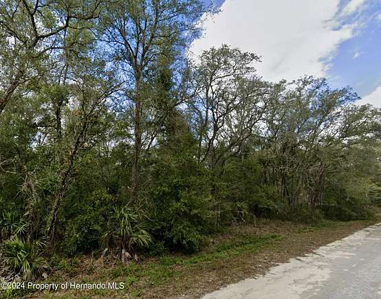 1 Acre of Residential Land for Sale in Webster, Florida