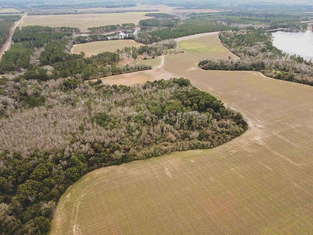 145 Acres of Agricultural Land for Sale in Meigs, Georgia