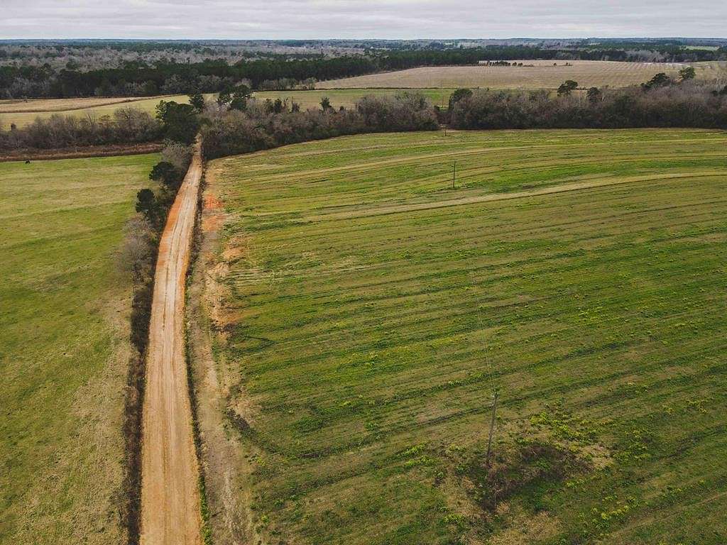 259 Acres of Agricultural Land for Sale in Pelham, Georgia
