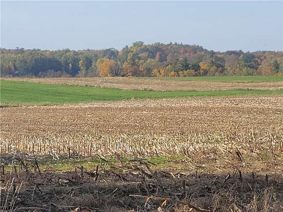 37.5 Acres of Agricultural Land for Sale in Clayton, Wisconsin