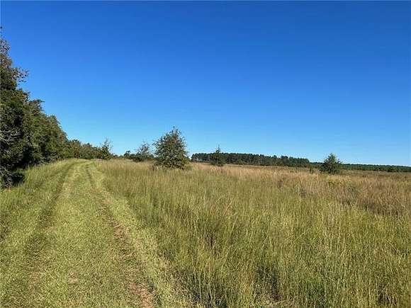 53 Acres of Agricultural Land for Sale in Loranger, Louisiana