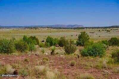 20 Acres of Recreational Land for Sale in Seligman, Arizona
