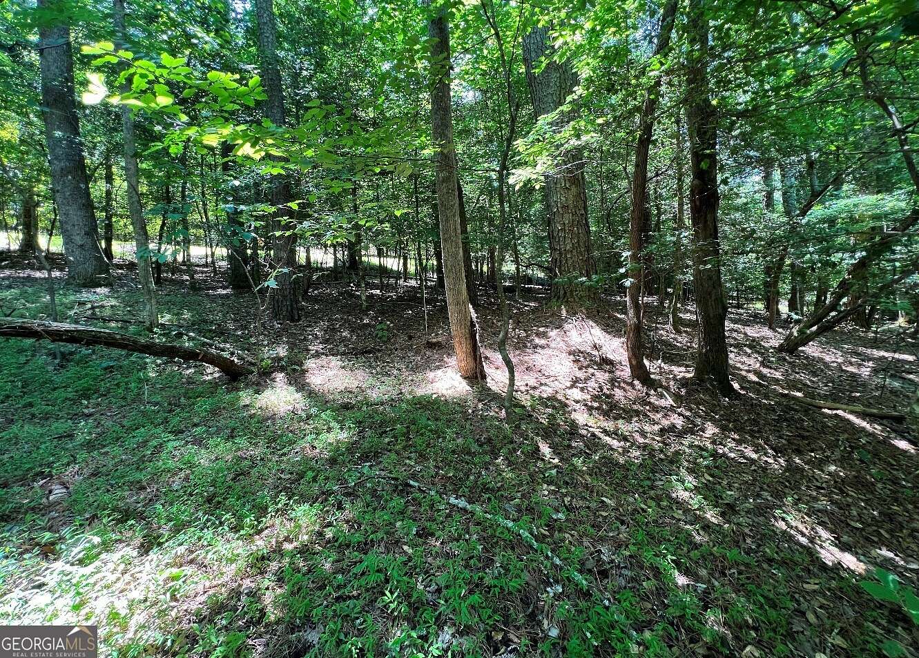 2.2 Acres of Residential Land for Sale in Ellijay, Georgia
