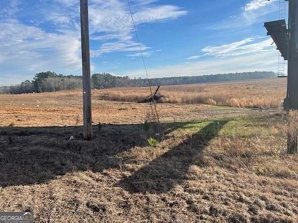 47.5 Acres of Land for Sale in Register, Georgia