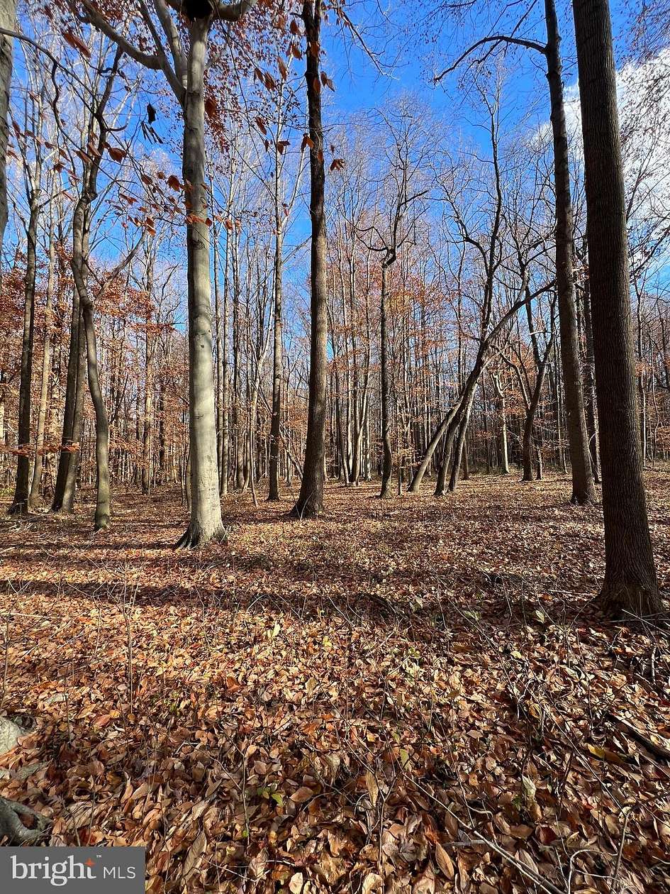 13.5 Acres of Land for Sale in Wye Mills, Maryland