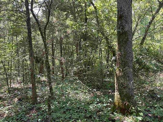 40 Acres of Recreational Land & Farm for Sale in Mammoth Spring, Arkansas