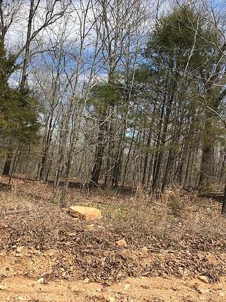 9 Acres of Land for Sale in Hardy, Arkansas