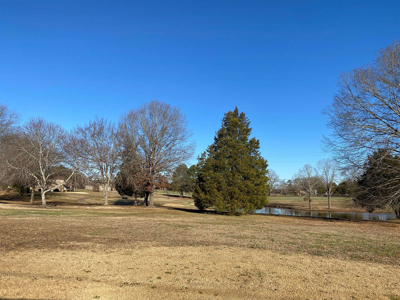 0.55 Acres of Residential Land for Sale in Adamsville, Tennessee