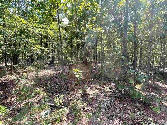 30.5 Acres of Recreational Land & Farm for Sale in Mammoth Spring, Arkansas
