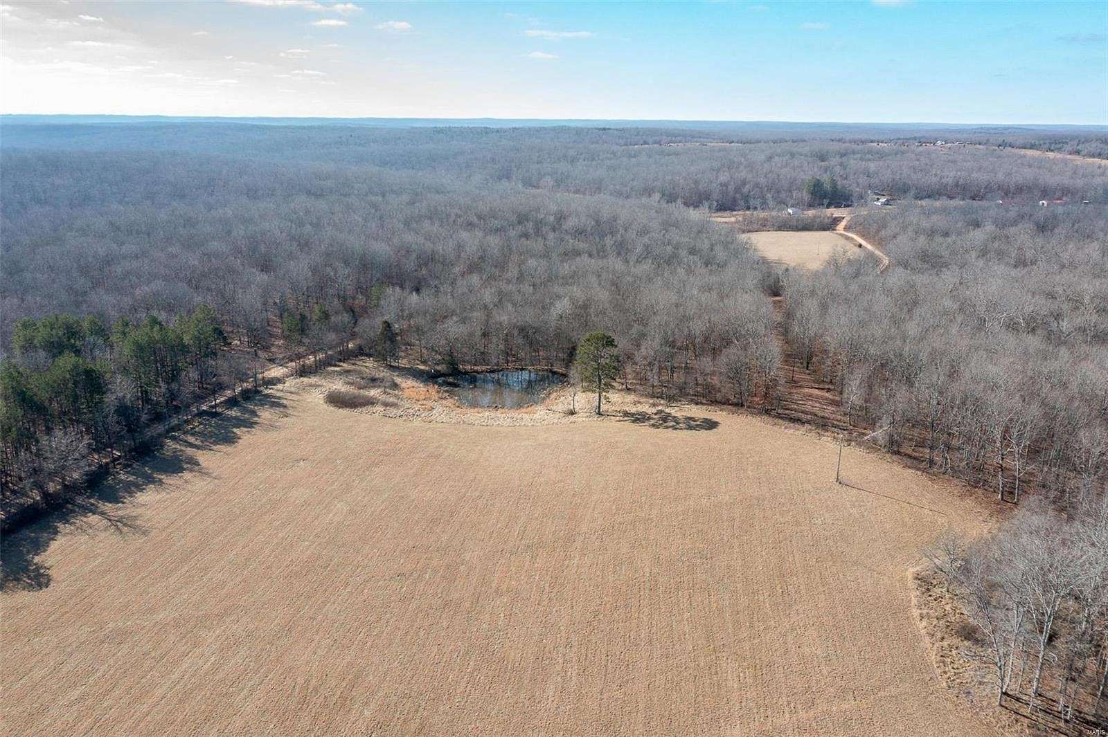 31 Acres of Land for Sale in Glen Allen, Missouri