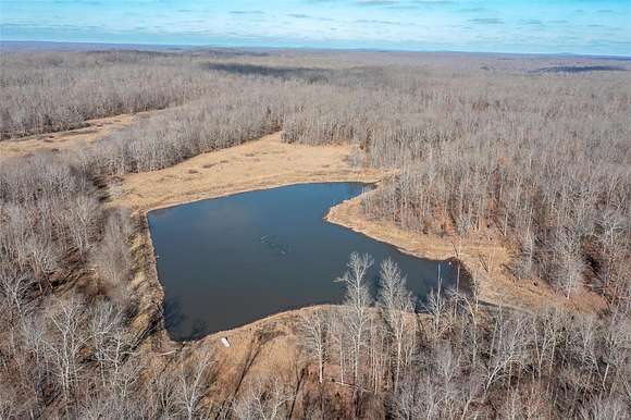 88 Acres of Land for Sale in Glen Allen, Missouri