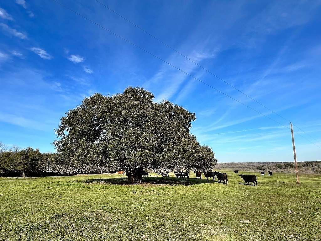 32 Acres of Land for Sale in Brenham, Texas