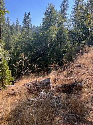 1.3 Acres of Residential Land for Sale in West Point, California