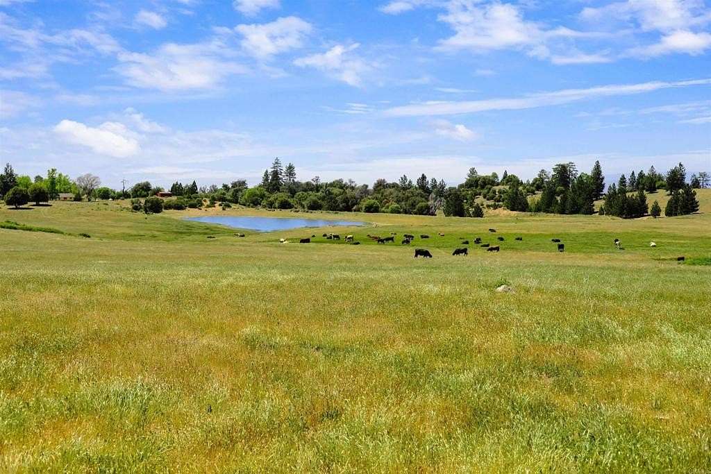 611 Acres of Agricultural Land for Sale in Julian, California