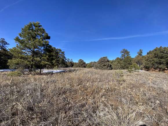 2.5 Acres of Land for Sale in Tijeras, New Mexico