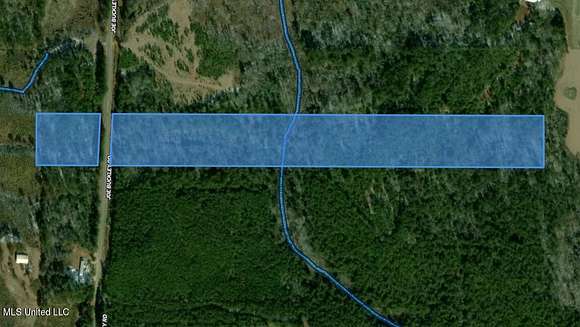 16.6 Acres of Recreational Land for Sale in New Hebron, Mississippi