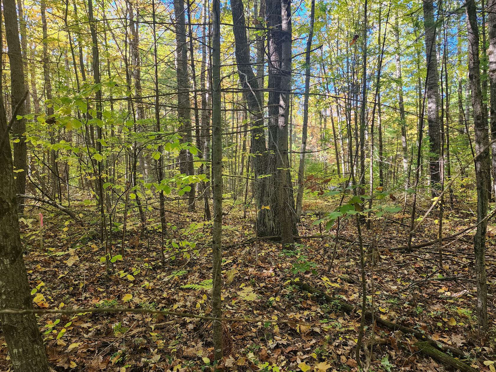 0.17 Acres of Land for Sale in Topinabee, Michigan