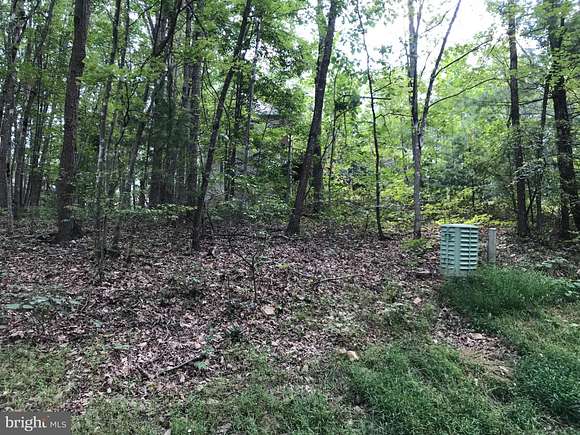 0.29 Acres of Residential Land for Sale in Mount Jackson, Virginia