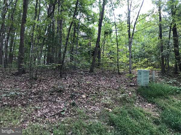 0.29 Acres of Land for Sale in Mount Jackson, Virginia
