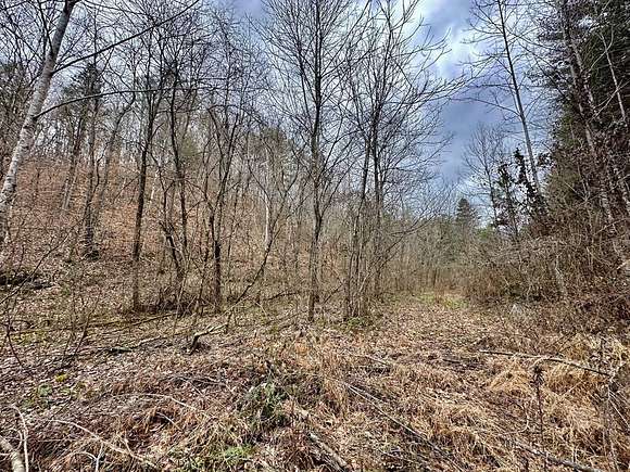 100 Acres of Land for Sale in Burkesville, Kentucky