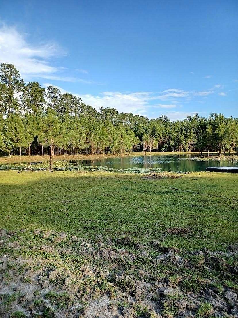 25 Acres of Land with Home for Sale in Madison, Florida