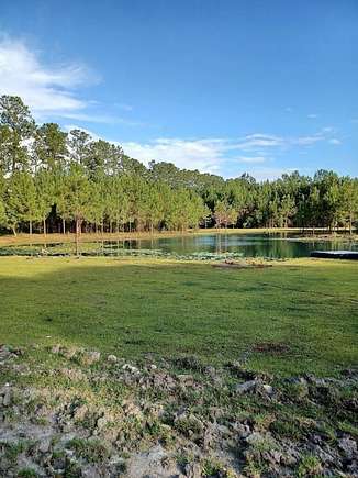 25 Acres of Land with Home for Sale in Madison, Florida