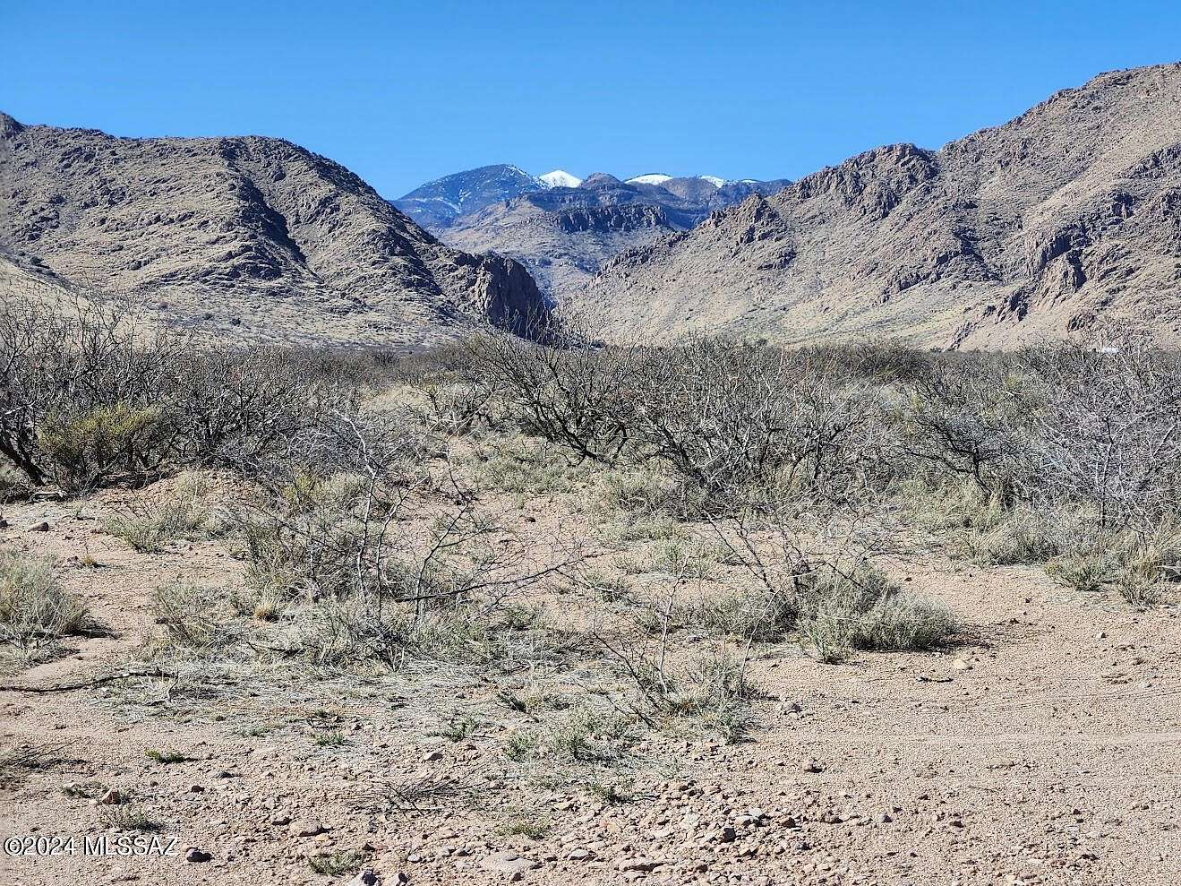37.6 Acres of Land for Sale in Portal, Arizona