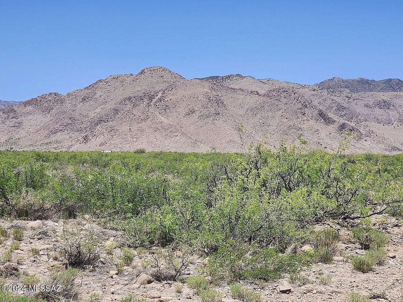 37.6 Acres of Land for Sale in Portal, Arizona