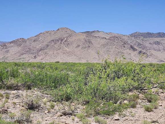 37.6 Acres of Recreational Land for Sale in Portal, Arizona