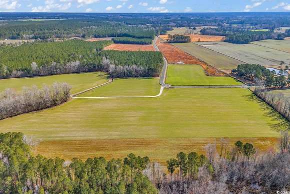 145 Acres of Agricultural Land for Sale in Green Sea, South Carolina