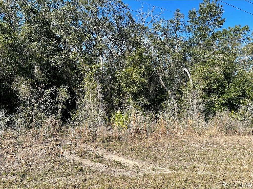 0.54 Acres of Land for Sale in Homosassa, Florida