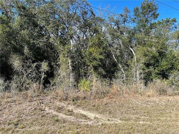 0.54 Acres of Land for Sale in Homosassa, Florida