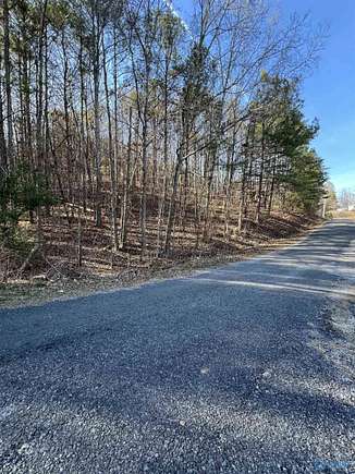 0.92 Acres of Residential Land for Sale in Leesburg, Alabama