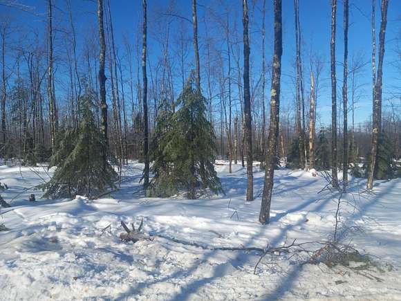 5 Acres of Residential Land for Sale in Vienna, Maine