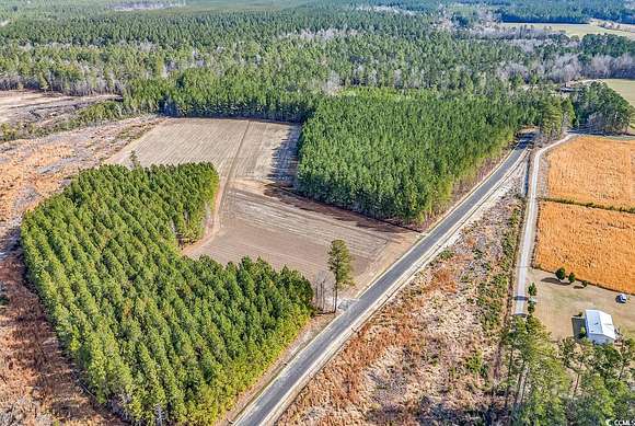 24.3 Acres of Agricultural Land for Sale in Green Sea, South Carolina