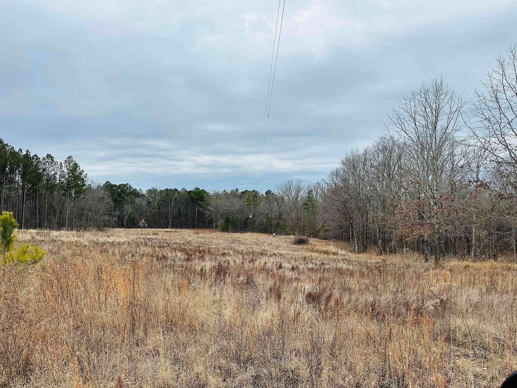 11.6 Acres of Land for Sale in Counce, Tennessee