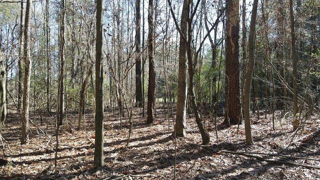 16 Acres of Land for Sale in Wesson, Mississippi