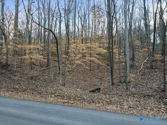 1 Acre of Residential Land for Sale in Guntersville, Alabama