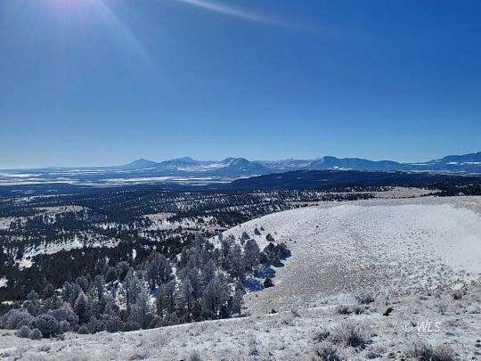 36.3 Acres of Agricultural Land for Sale in Westcliffe, Colorado